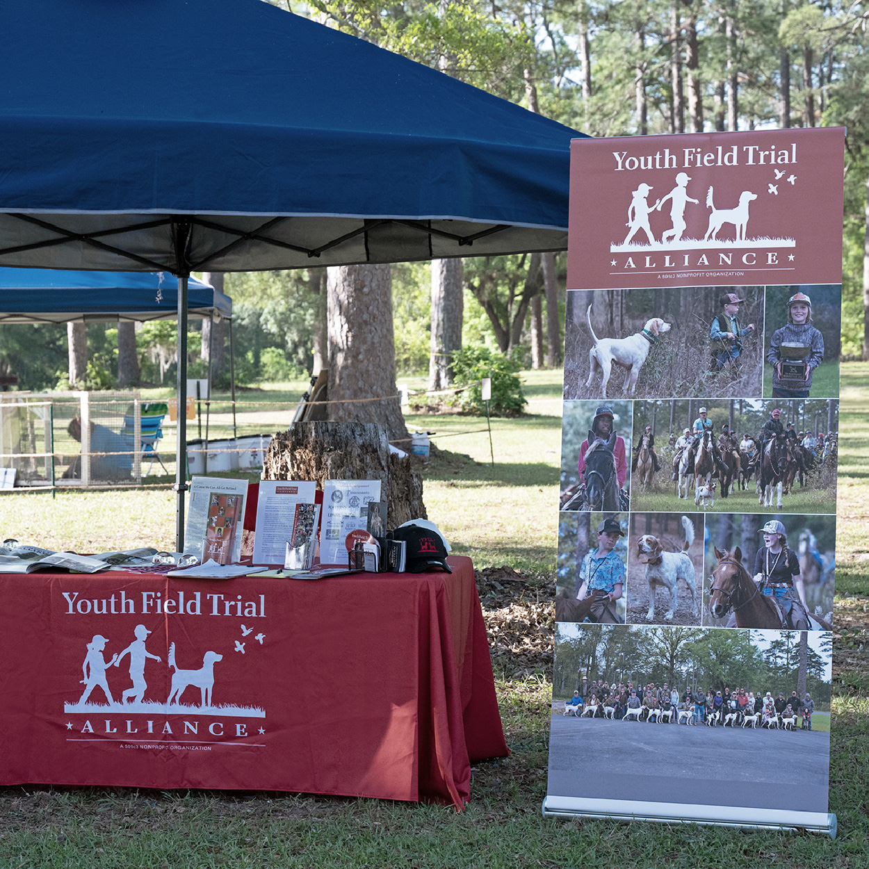 Outdoor displays at a vendor market